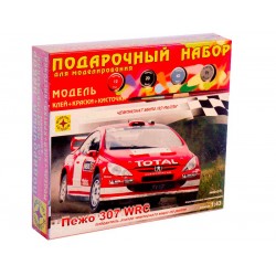 Моделист ПН604310 Сборная модель автомобиля Пежо 307 WRC. Подарочный набор (1:43)